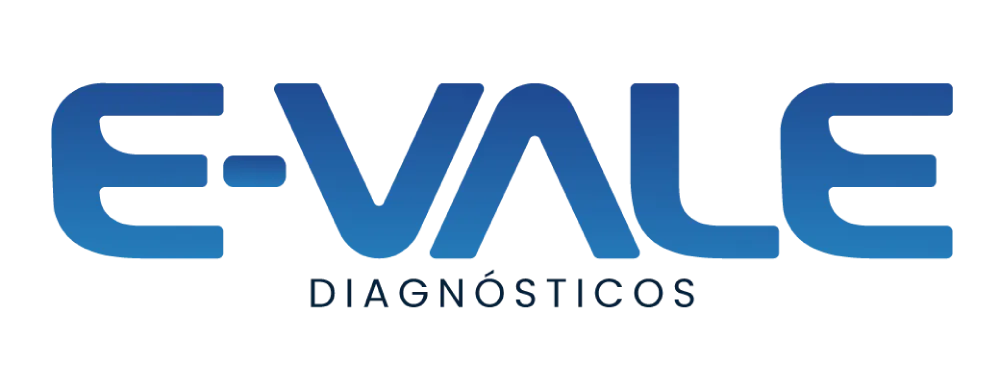 Logo E-Vale